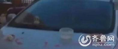 青岛爆料最新视频,揭秘城市新动态与神秘事件 第3张 青岛爆料最新视频,揭秘城市新动态与神秘事件 第3张